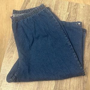 Catherine’s Everyday Fit 2X Capris